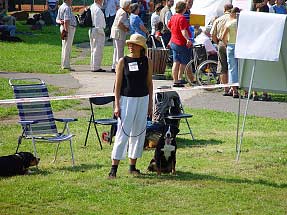 Clubschau Schweizer Sennenhunde, Bad M&uuml;nstereifel, 4.9. 2004