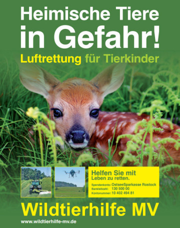 Wildtierrettung aus der Luft